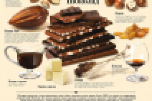 Работа 2198312