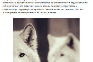 легенда о волках