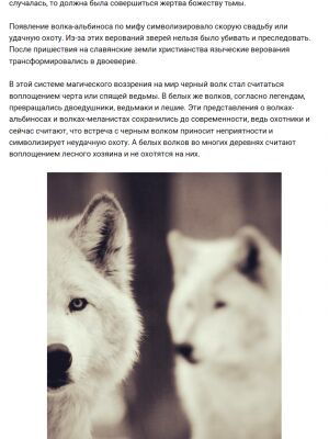 img3704540.png