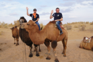 Работа 2171078