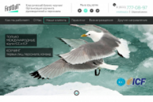 Обучение и тренинги для персонала