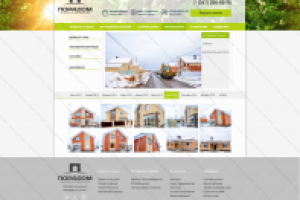 Дизайн одной из страниц сайта (конкурсная работа)