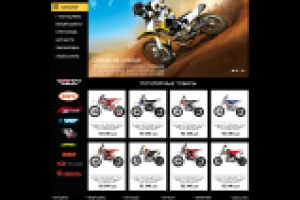 ИМ по продаже пит-байков