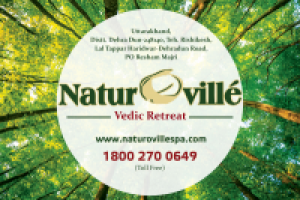 Работа 3122470