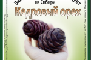 Работа 2620230