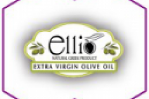 Создание Landing "Ellio" под ключ