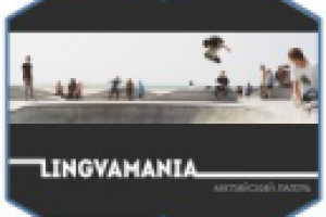 Маркетинг кит для летнего лагеря – "LINGVAMANIA"