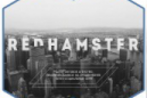 Маркетинг кит для маркетингового агентства "Red Hamster"