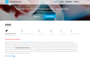 Страница услуги Pamconsult 1200px