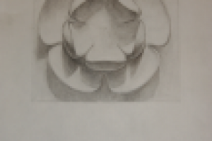 Розетка рисунок 1 курс