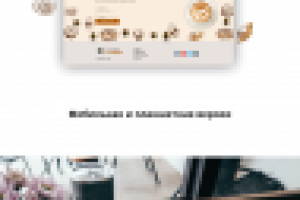 Презентация работы