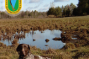 Каталог выставки собак, 2009 г.