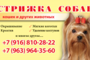 Визитная карточка