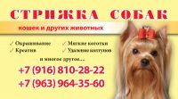 img2258953.png