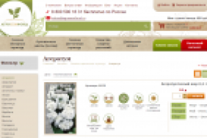 Сайт agrosemfond.ru