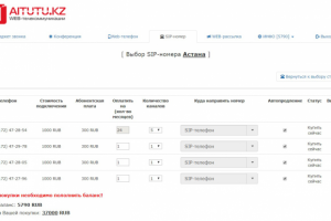 Сервис покупки номеров для сайта Web-телефонии