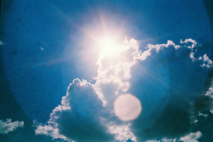 Работа 2029180