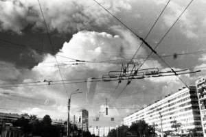 Работа 2029174