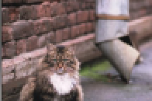 Работа 2029153