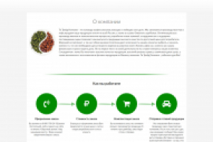 Интернет-магазин Teatradecom на WordPress + WooCoommerce