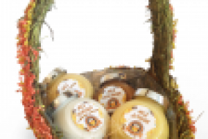 этикетки для проекта allhoney.ru