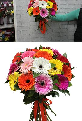img3341414.png