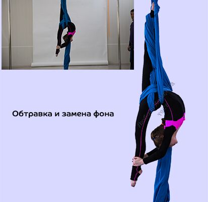 img3356239.png