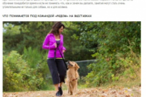 Как научить собаку команде "рядом"