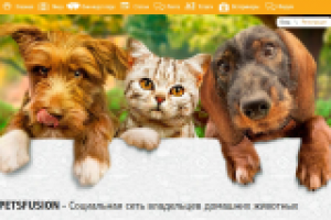 Публикация всех текстов на сайте, работа с посетителями