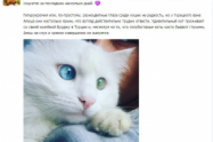 Работа 2820216