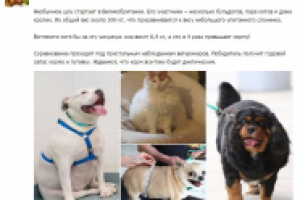 Работа 2820215