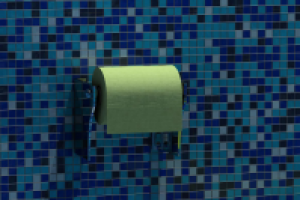 фрагмент  туалета