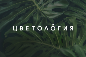 Цветология (Flowerology)