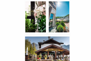 Работа 3703087