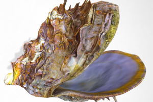 Работа 3702094