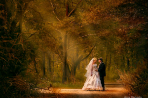 свадебная прогулка - стиль (Картина маслом) печать на холсте