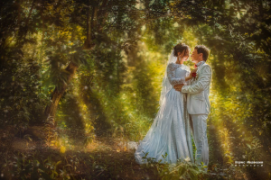 свадебная прогулка - стиль (Картина масло) печать на холсте