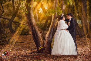 свадебная прогулка - стиль (Картина масло) печать на холсте