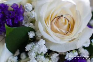 съемка свадебных колец