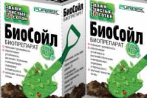 Работа 1590705