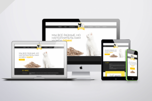 Магазин по продаже наполнителя для котиков