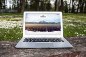 Равновесие