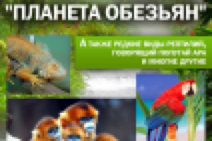 Работа 2202529