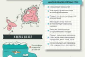 Инфографика