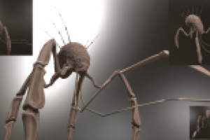 Скетч Животное для скай фай игры про колонизацию планет.