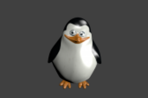 Рядовой (мадагаскар)