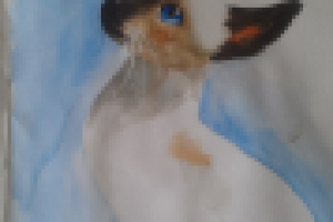 Работа 2093031