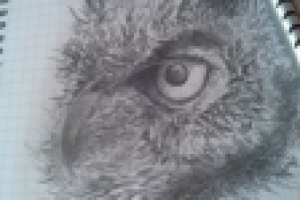 Работа 2093028