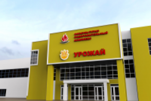 физкультурно оздоровительный комплекс комплекс с. Починки