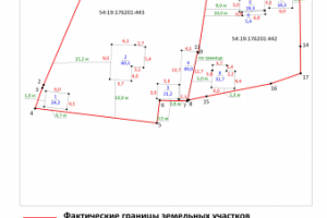 Схема для судебной землеустроительной экспертизы